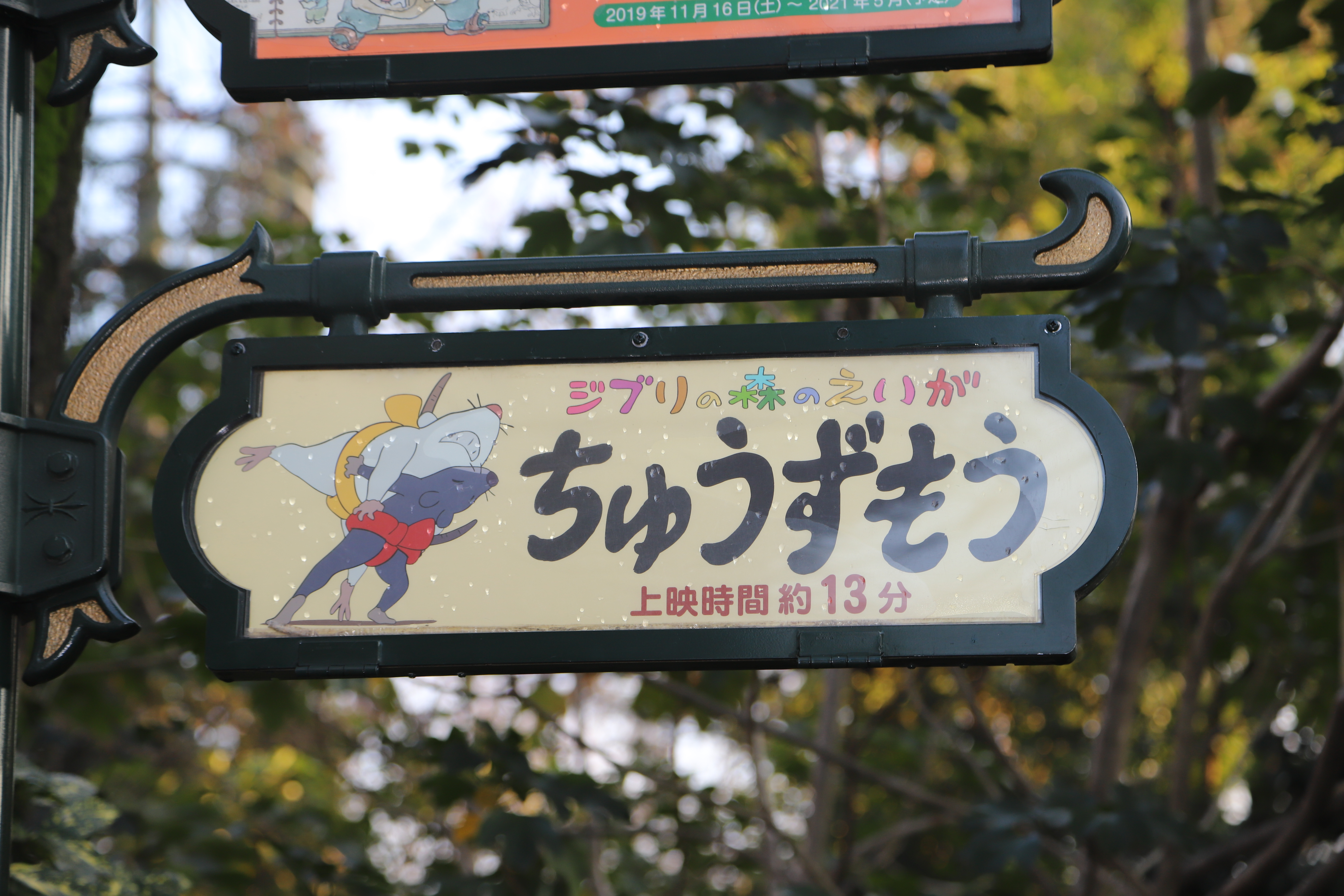 场内电影预告