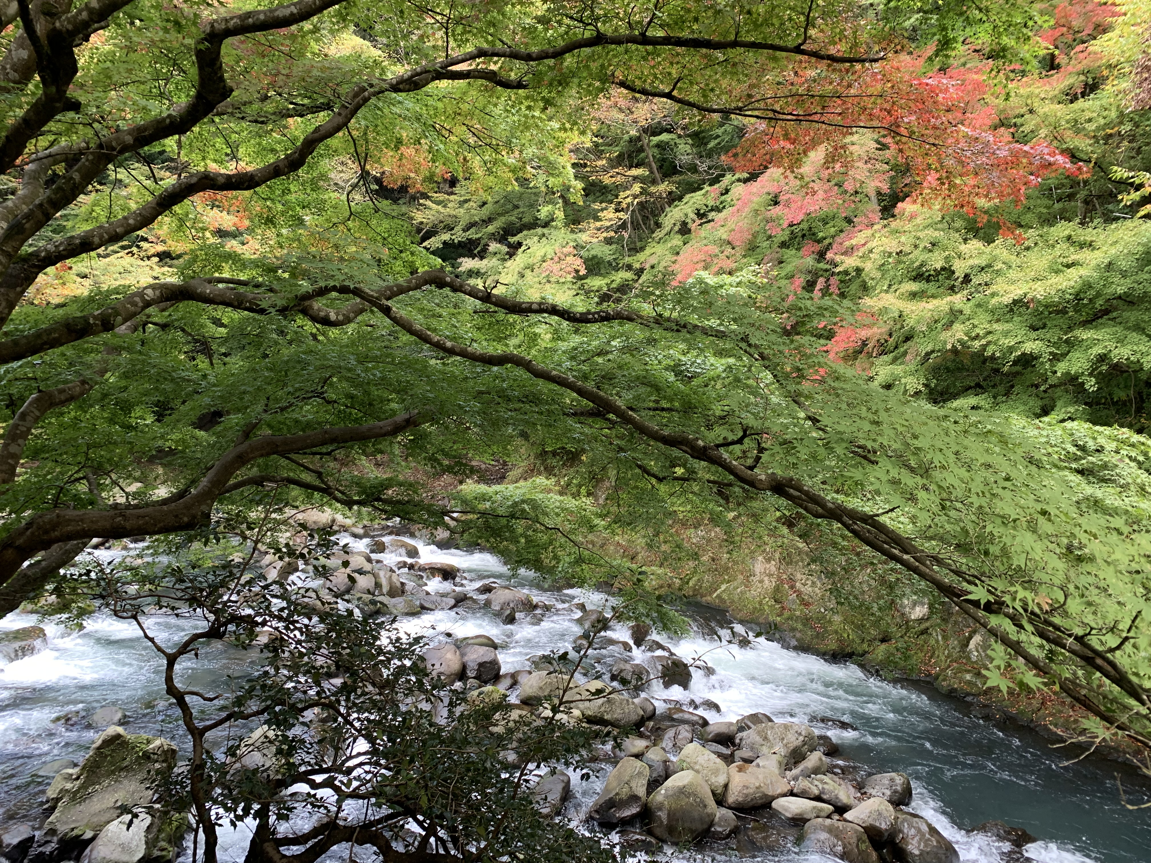 房间私汤风景