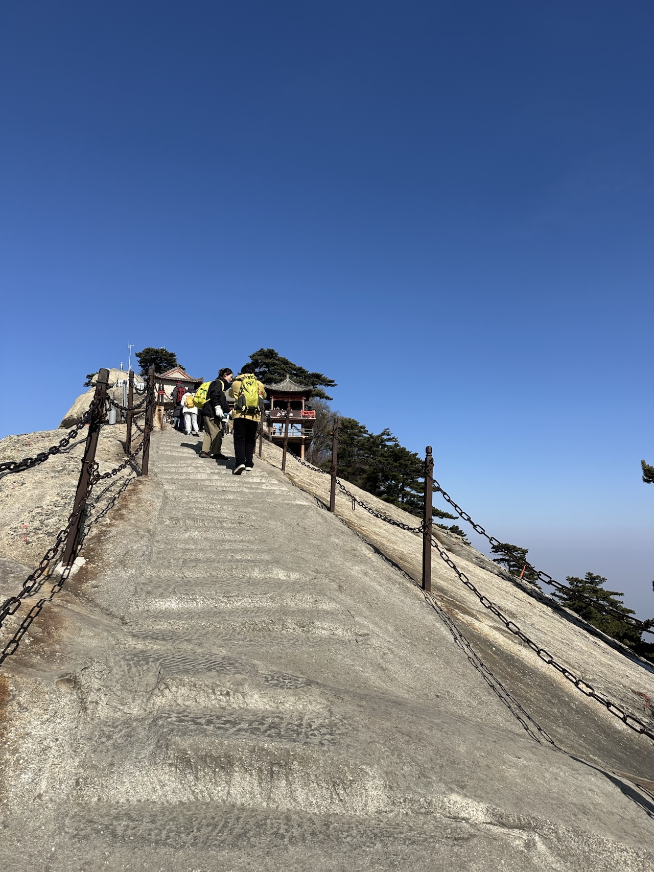 青龙背